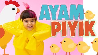 AYAM PIYIK  MAZAYA Official Music Video [upl. by Blackwell]