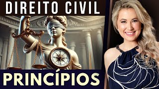 Princípios do DIREITO CIVIL  Resumo e Exemplos [upl. by Eran989]