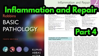 Mediators of InflammationMediators of Acute inflammation  Inflammatory mediatorsRobbins pathology [upl. by Trauner]