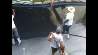 Black Diamond Brite Plaster on Gunite Pool by Affordable Pools [upl. by Zigmund]