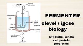 Fermenter  antibiotic or SCP production Olevel  igcse Biology CAIE [upl. by Nylaroc]