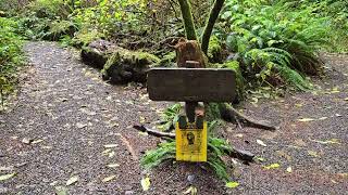 Ramblings of an old man hiking Ozette Triangle Coastal Trail  Clallam Bay Washington Peninsula [upl. by Vernon]