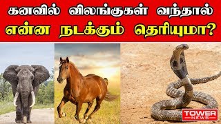 கனவில் விலங்குகள் வந்தால் என்ன நடக்கும் தெரியுமா  Meaning of Dreams  Kanavu Palangal in Tamil [upl. by Eelyah]