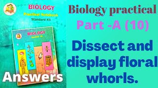 Dissect and display floral whorls biology practical class 12 experiment 10 part A answers [upl. by Laved]