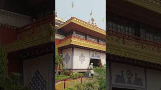 Golden Buddha Temple Benaras [upl. by Jobi]