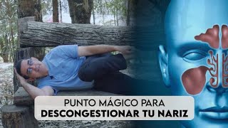 Punto MAGICO para aliviar la CONGESTION NASAL sinusitis alergias tabique desviado [upl. by Aenal]