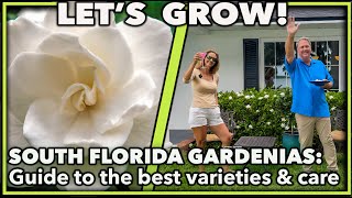 THE ULTIMATE GUIDE TO GARDENIAS Common South Florida varieties amp care tips [upl. by Clayson]