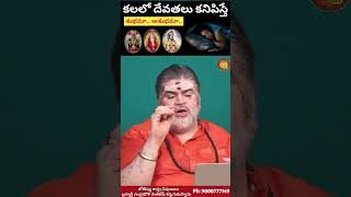 కలలో దేవతలు కనిపిస్తే  kalalo devudu kanipiste em jaruguthondi dharmasandehalu teluguastrology [upl. by Barina313]