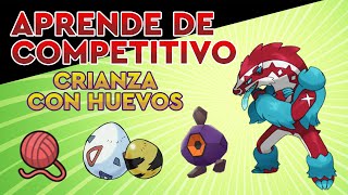 APRENDE COMPETITIVO PARTE 3 quotCRIANZAquot [upl. by Ennahs665]