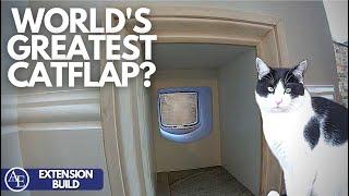 IS THIS THE WORLDS GREATEST CATFLAP  Building an Extension 12  Build with AampE [upl. by Mihcaoj]