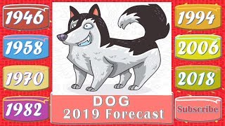 Dog Horoscope 2019  Born 1946 1958 1970 1982 1994 2006 2018 [upl. by Ynehpets]