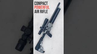 POWERFUL COMPACT AIR RIFLE 510 Cal [upl. by Assiled171]