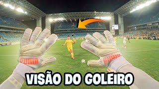 VISÃO DO GOLEIRO JOGANDO NO ESTÁDIO DE COPA DO MUNDO [upl. by Shing]