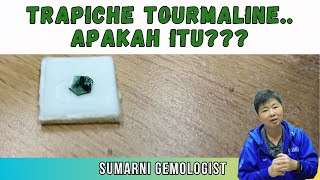 MENGENAL BATU TRAPICHE TOURMALINE [upl. by Amaris]