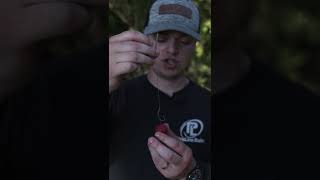 Best Bottom Bait Rig for 24mm Boilies [upl. by Nhaj]