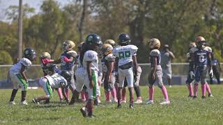 Belleville Little Knights 9U vs EOL Full Game [upl. by Huang]