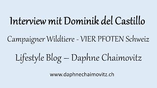 Interview mit Dominik del Castillo [upl. by Schlessinger]