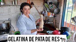 Gelatina blanca y negra de Pata de RES Colágeno puro como prepararla recetas gelatina [upl. by Wj]