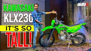 New Kawasaki KLX 230 First Look  Road Legal Dirt Bike Coming To India  2024  autoX [upl. by Dieter875]