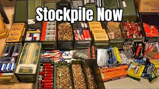 6 Calibers You NEED To Stockpile In 2024 [upl. by Lleksah180]