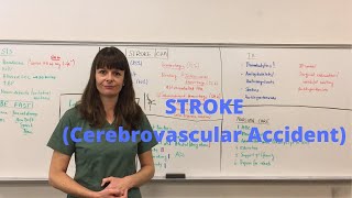 Stroke  Cerebrovascular Accident CVA [upl. by Arraes]