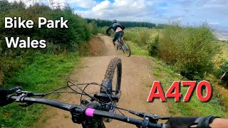 BIKE PARK WALES  A470 Line  Root Manoeuvres [upl. by Eednarb710]