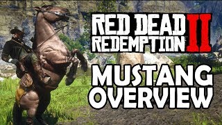 Mustang Overview  Red Dead Redemption 2 Horses [upl. by Irab]