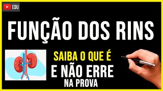 QUAL A FUNÇÃO DOS RINS Aprenda em 1 minuto Não Erre Nunca na PROVA Biologia com Patrick Gomes [upl. by Damas]