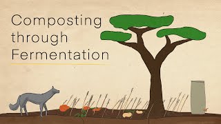 Bokashi transform organic waste to soil through fermentation [upl. by Botsford14]