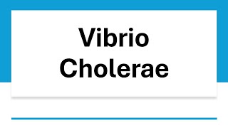 Vibrio Cholerae [upl. by Lenno815]