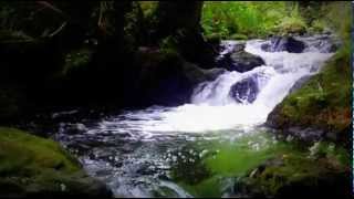 Musique relaxation chanson douce apaisante relaxante reposante song relax [upl. by Naor198]