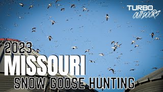 MISSOURI Snow Goose Hunting 2023 HUGE FEEDS [upl. by Jasik758]