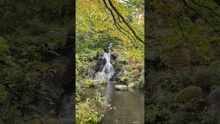 Japanese Garden Hokoen  Autumn Leaves  Kanuma city Tochigi Japan [upl. by Aiym]