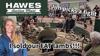 I sold our first FAT LAMBS Hawes auction mart [upl. by Hsihsa]