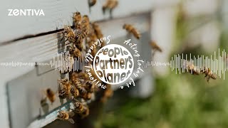 S1E11  Zentiva Sustainability Podcast About Bees and AI [upl. by Oguh]