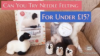 Let Me Show You How  Needle Felting For Beginners  Needle Felting Kit amp Supplies To Help You Start [upl. by Darcee]