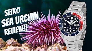 Is This The Best First Watchquot  Seiko SNZF15 Sea Urchin Review After 25 Years [upl. by Bautram]