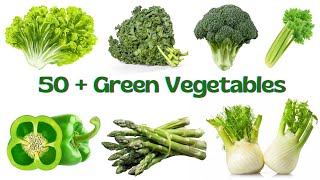 50 Green Vegetables Names In English Vocabulary  Green Vegetables Names With Pictures [upl. by Edny]