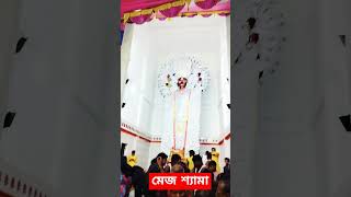 মেঝো শ্যামা🌺🙏rash Mela nabadwip2024 short viral YouTube ghitika1111 [upl. by Pathe95]