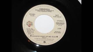 Ambrosia – Biggest Part Of Me Promo 45 Edit [upl. by Gut]