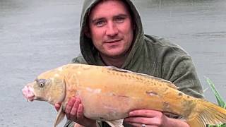 CARP FISHING at Weston Moat Fishery [upl. by Anaejer]