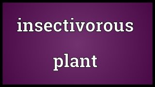 Insectivorous plant Meaning [upl. by Ahseel141]