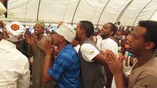 አንዋር መስጂድ ዒሽቅ menzuma HADIK TUBE [upl. by Alomeda]