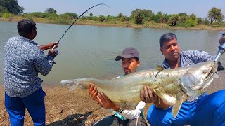 Big Wallago attu catfish catching  Fish hunting  Fish Catching Videos  Fishing videos in hindi [upl. by Tudor521]