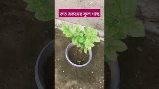 Tree plantation education subscribe villegenature trendingshorts trendingshorts viralvideo [upl. by Marston]