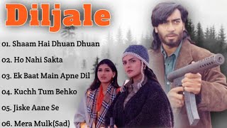 Dil Jale Movie All SongsAjay DevganSonali BendreMadhooMUSICAL WORLD [upl. by Eihcir464]