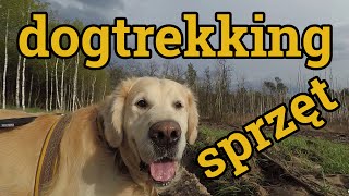 Jaki sprzęt zabrać na dogtrekking [upl. by Suiravaj]