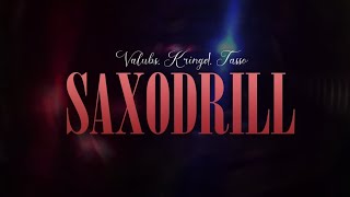 VALU X KRINGE X TASSO  SAXODRILL Official Audio [upl. by Yelnoc]