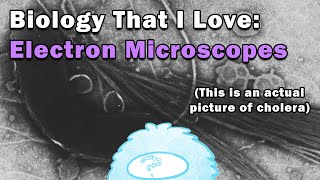 I wanted to chat a bit about microscopes [upl. by Vaden]