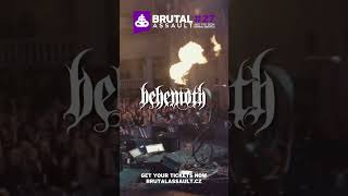 Brutal Assault 2024  Behemoth [upl. by Sanfourd902]